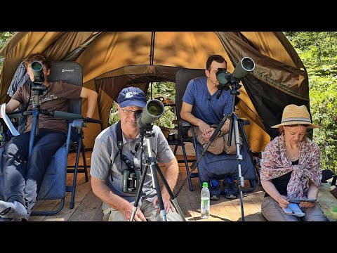 Trailer-Vorschau: Vogelperspektiven