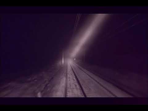 ZABEK X ZIOMEK LTZ - ZNÓW