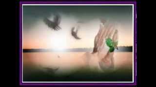 Florent Pagny - Et un jour une femme (Lyrics)