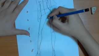 Смотреть онлайн Как рисовать манекен карандашом для эскиза одежды