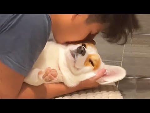 Quand votre chien aime votre petit ami plus que vous