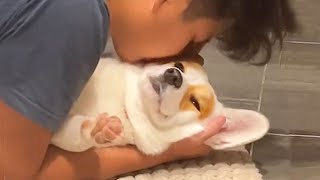 Miniature vidéo