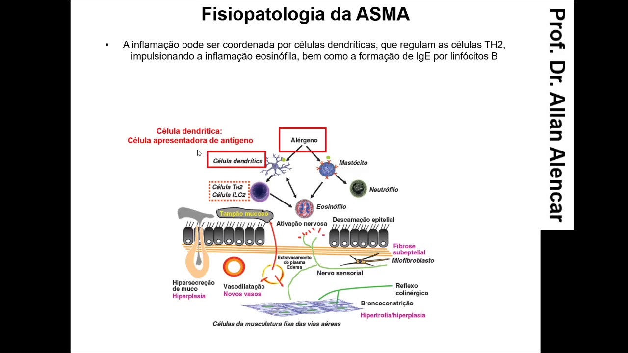 Farmacologia da ASMA e DPOC (Parte1)