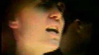 The Popguns - Someone You Love