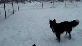 Snow01