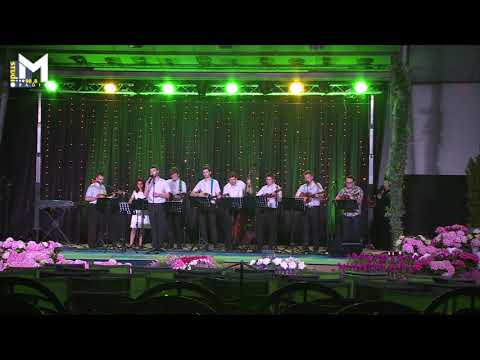 Tino Jelenić uz TS Frikovi - Cirkvica na bregu (festival Kre Mure i Drove, Prelog 2017.)