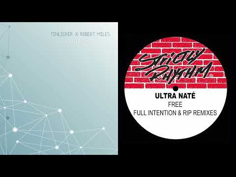 Tinlicker & Robert Miles   Children X Ultra Nate Free