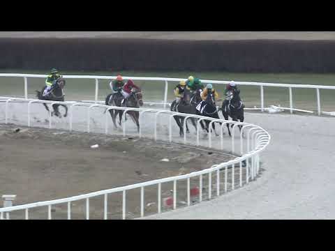 2021.03.21. 07. futam - NYERETLENEK VERSENYE (V.kat.) (szintetikus pálya)