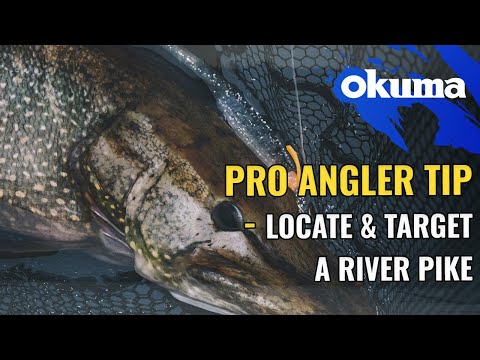 Pro Angler Tip - Locate & Target a river pike