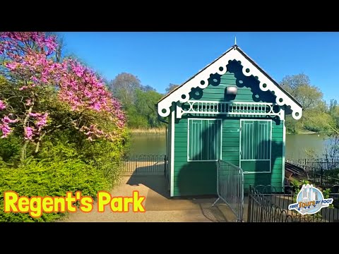 A Springtime Walk in Regent's Park London with Sinead