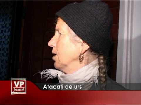 Atacaţi de urs