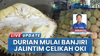 Banjir Durian di Jalintim OKI tapi Harga Masih Mahal, Pedagang Musiman: Pasokan dari Luar Daerah