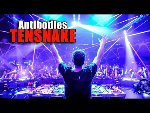 ИСТОРИЯ МУЗЫКИ : TENSNAKE & Cara Melin - "Antibodies" 2020