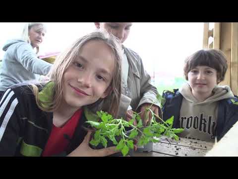 Regionalno, Ptuj: OŠ Mladika z naravo