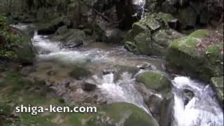 preview picture of video 'Mikumo Fudo-no-taki Waterfall, Shiga, Japan 行場不動乃滝（三雲）'
