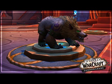 NEW Druid Form Customization Options In The Barber Shop | Shadowlands Alpha