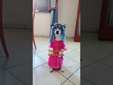 I want Nutella 😂 #merybijouesciarpina #comedy #parody #jackrussell #nutella