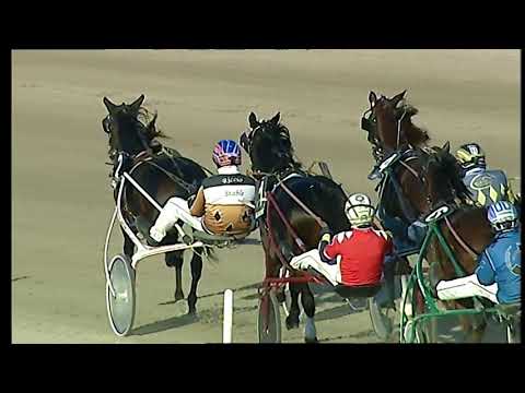 Napoli Trotto 19/11/2021 - 3ª corsa