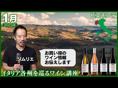 ワイルドワイン「エンゲルマンニ」 植物