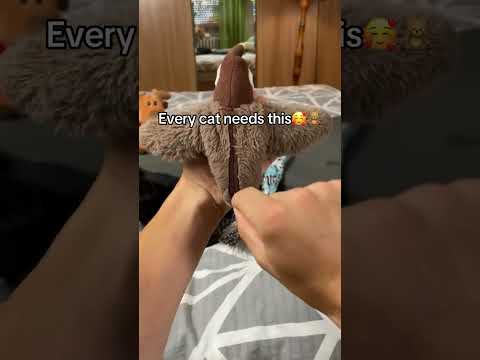 Interactive Flying Bird Cat Toy