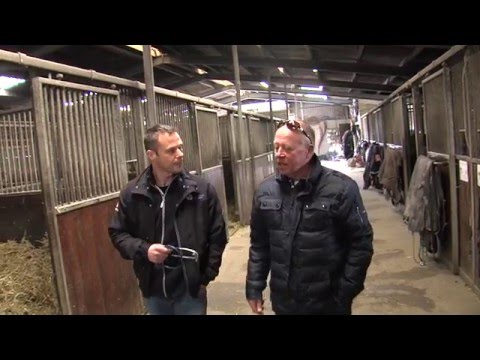 Interview Arnold Mollema mbt Dierenkliniek Wolvega