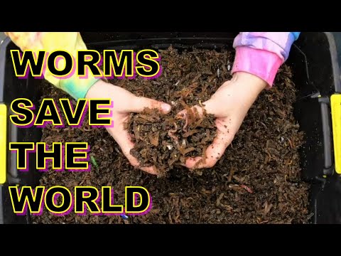 10 Ways Worms are SAVING the world!!