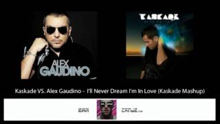 Kaskade vs. Alex Gaudino -  I&#39;ll Never Dream I&#39;m In Love (Kaskade Mashup)