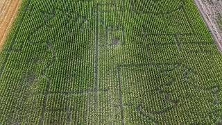 Así es el gigante laberinto de maíz de 4,5 hectáreas en Hungría