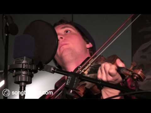 Thumbnail for Samamidon - Fiddle Mayhem (Toad Session) by Y&T