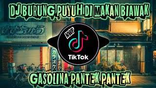 Download lagu DJ BURUNG PUYUH DI MAKAN BIAWAK X GASOLINA X PANTEK PANTEK VIRAL TIK TOK FULL BASS mp3