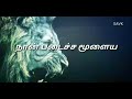 Pandiyana Kokka Kokka Pandiyan தமிழ் Whatsapp Status