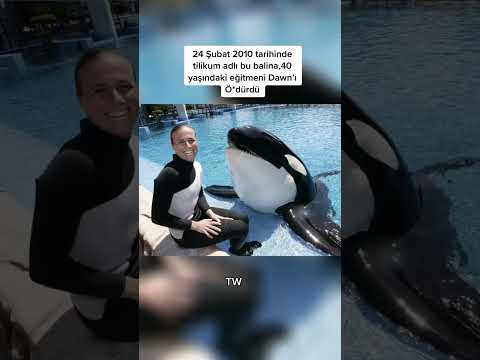 Hayvanlar Tarafından Katledilen İnsanlar⚠️ #keşfet