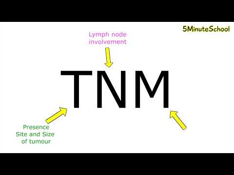 TNM Classification of Cancer