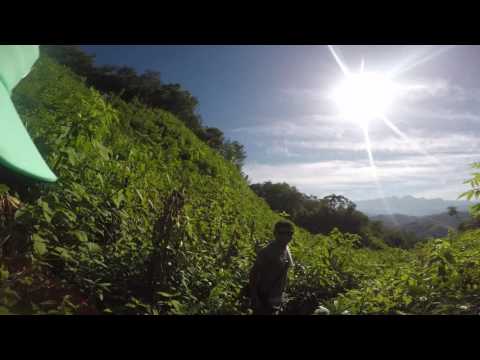 Caminata por las montañas de Semuc Champei Guatemala
