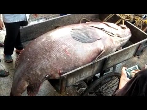 100 Crs Advocate Welfare Fund Announced Thanks to CM Bar Association in Visakhapatnam,Vizagvision News...