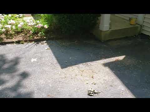 Max- 924 Club Circle