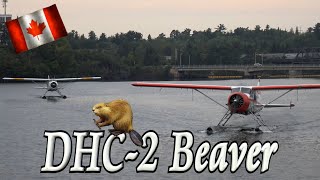 🛩 DHC-2 Beavers in Action 🏞️
