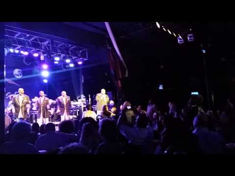 Please Don't Leave Me