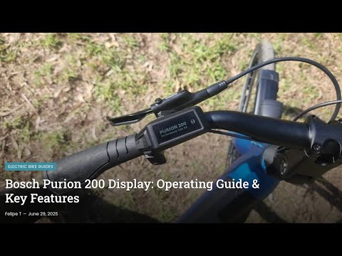 Bosch PURION 200 Display & Controller Explained