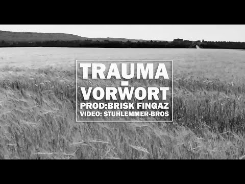 TRAUMA - VORWORT (PROD. by Brisk Fingaz)