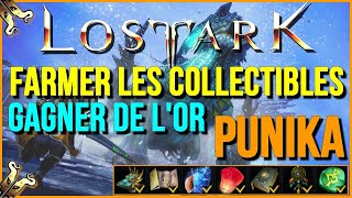Lost Ark - Farmer efficacement les collectibles de Punika. Gagnez des golds!