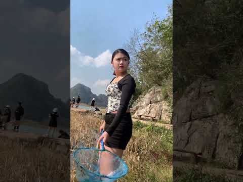 There are a lot of shrimp in this lake.