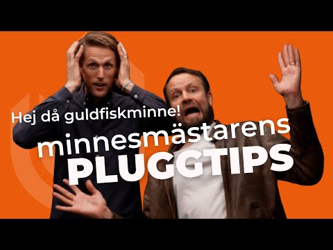 Pluggtips med Mattias Ribbing