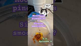 Who did I upset to deserve a siracha and moonshine pineapple smoothie?? Smoothie Slots Episode 8
