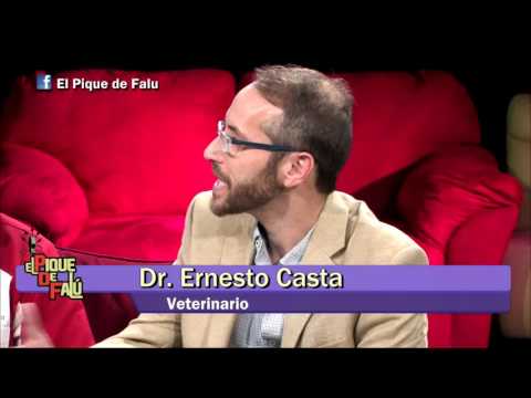 El Pique de Falú 08-25-16 (04) - Entrevista a Linda Michelle, Remi Martin y Dr. Ernesto Casta
