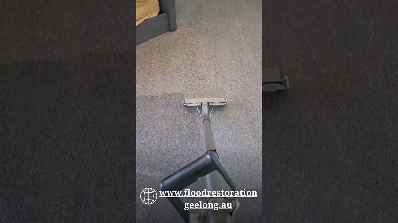 Water Damage & Carpet Drying Geelong