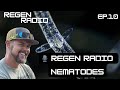 Regen Radio Ep. 10 | Nematodes