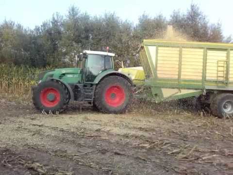 Maisernte in Schleswig Holstein  2016