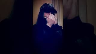 Crosseyed Cat harmonica