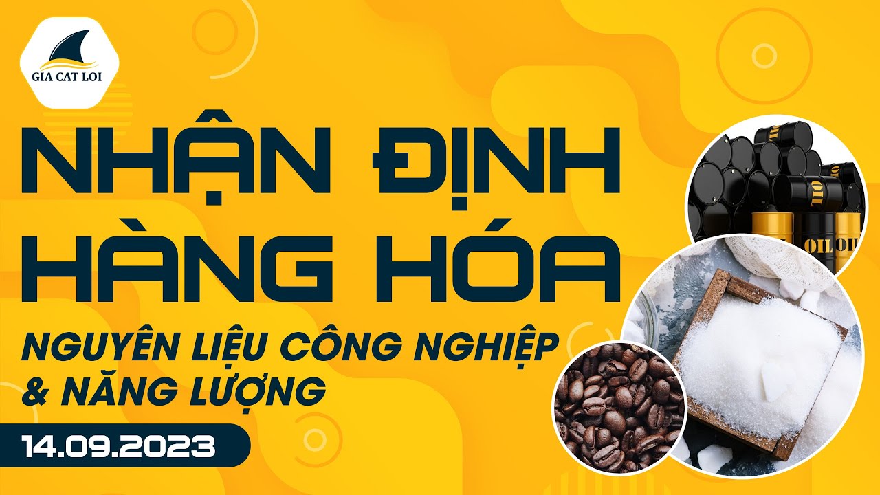 Nhận Định Hàng Hoá Năng Lượng & Nguyên Liệu Công Nghiệp 14/09/2023